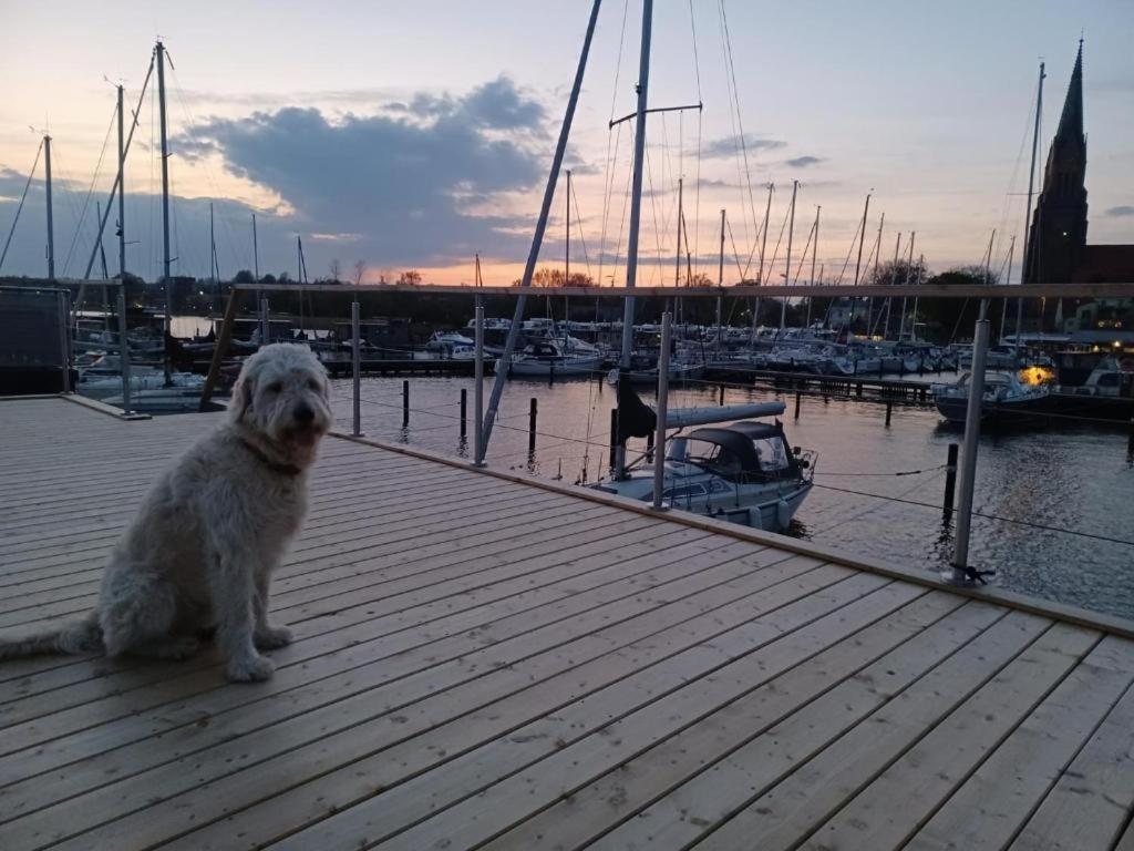 Hausboot Gluecksmomente Mit Dachterrasse In Schleswig Am Ostseefjord Schlei Extérieur photo